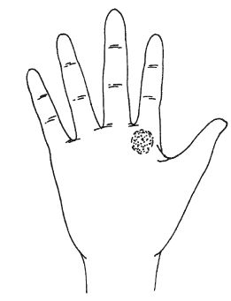 Антонина Соколова - Знаки судьбы на теле человека