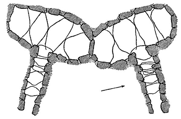 Хильда Дэвидсон - Древние скандинавы. Сыны северных богов