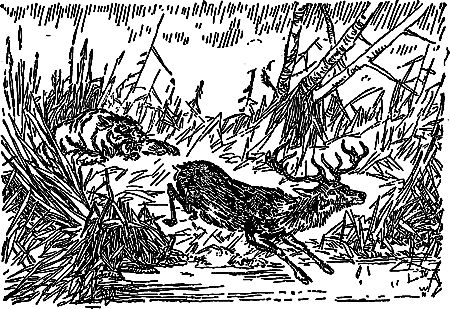 Жозеф Рони-Старший - Борьба за огонь