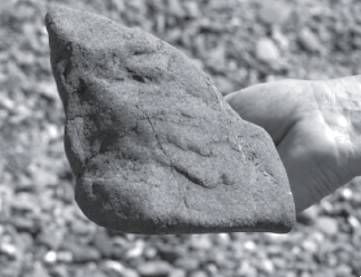 Майкл Файер - Абсолютный минимум. Как квантовая теория объясняет наш мир