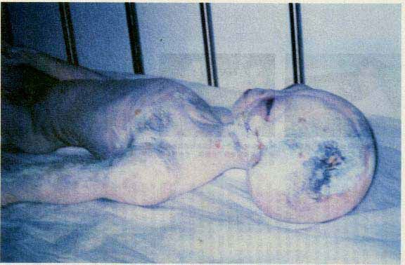 Виктор Рогожкин - Эниология