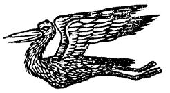 Шельмуфский