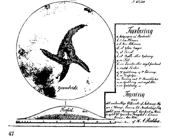 Хильда Дэвидсон - Древние скандинавы. Сыны северных богов