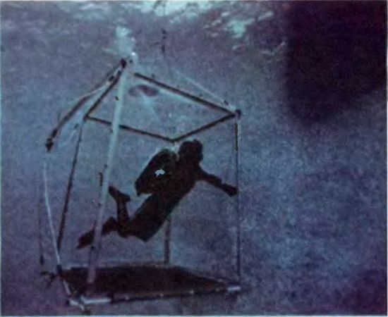 Жак-Ив Кусто, Филипп Кусто - Чтобы не было в море тайн