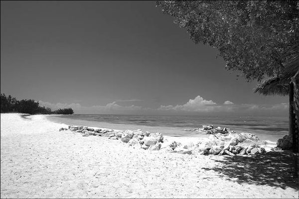 Анатолий Бернацкий - 100 великих тайн океана