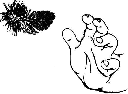 Лорус Милн, Маргарет Милн - Чувства животных и человека