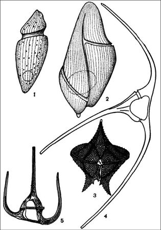 Анатолий Бернацкий - 100 великих тайн океана
