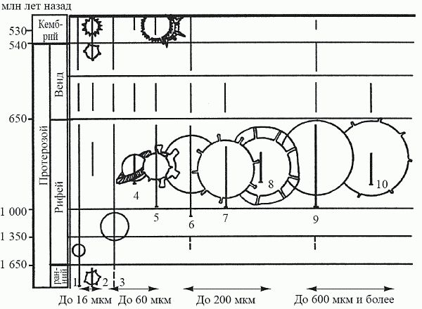 Кирилл Еськов - Удивительная палеонтология. История земли и жизни на ней