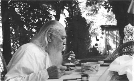 Екатерина Каликинская - Святитель Лука: факты, документы, воспоминания