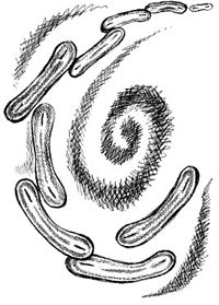 Александр Махнёв - О прожитом с иронией. Часть I (сборник)