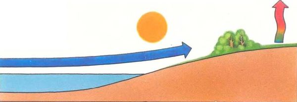 Ауст Зигфрид - Погода