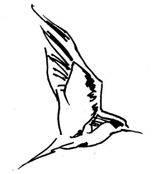 Вилис Лацис, Жан Грива и др. - Ладейная кукла