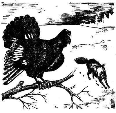 Чарлз Робертс - Лесной бродяга (рассказы и повести)