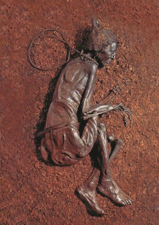 Анатолий Клёсов - Занимательная ДНК-генеалогия. Новая наука дает ответы