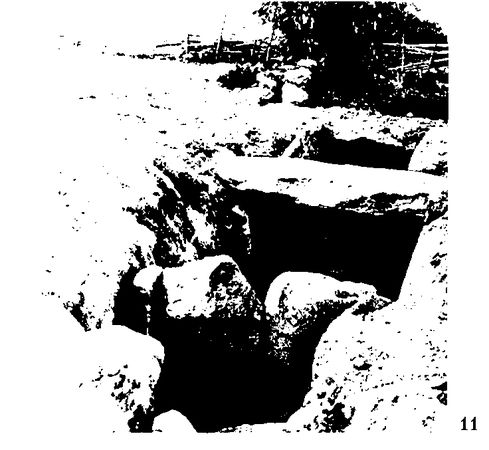 Хильда Дэвидсон - Древние скандинавы. Сыны северных богов