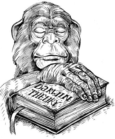 Андрей Буровский - Разные человечества