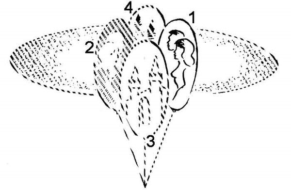 Виктор Рогожкин - Эниология