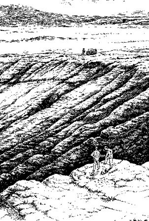 Полина Денисова - Энциклопедия катастроф