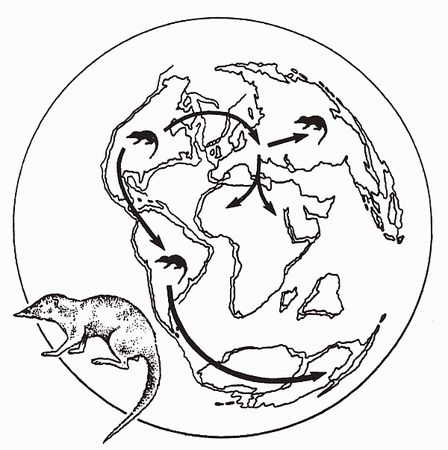 Кирилл Еськов - Удивительная палеонтология. История земли и жизни на ней