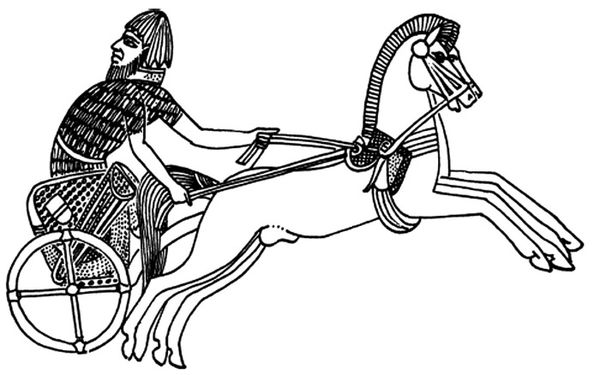 Анатолий Клёсов - Занимательная ДНК-генеалогия. Новая наука дает ответы