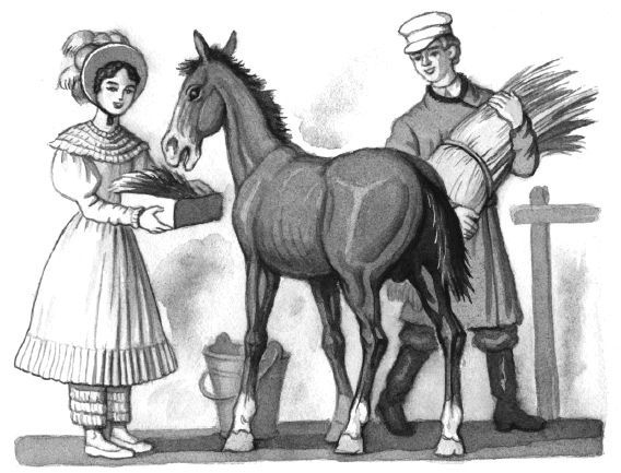 Владимир Одоевский - Городок в табакерке (сборник)