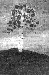 Марионилла Кольцова - Ребенок учится говорить.