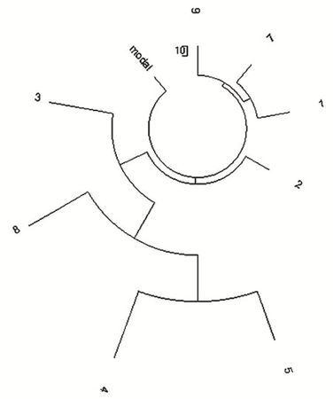 Анатолий Клёсов - Занимательная ДНК-генеалогия. Новая наука дает ответы
