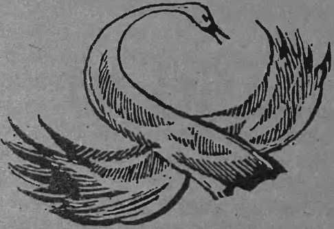 Жаклин Монсиньи - Флорис-любовь моя