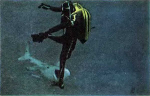 Жак-Ив Кусто, Филипп Кусто - Чтобы не было в море тайн