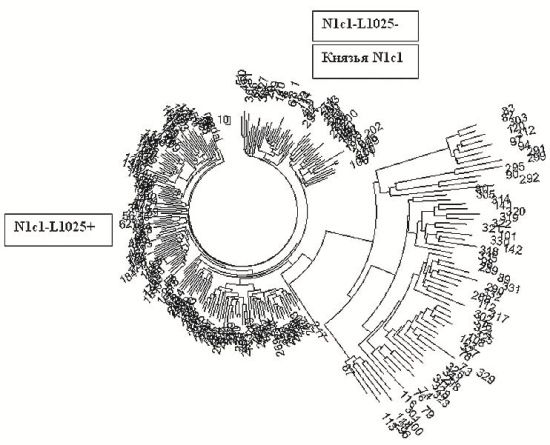 Анатолий Клёсов - Занимательная ДНК-генеалогия. Новая наука дает ответы