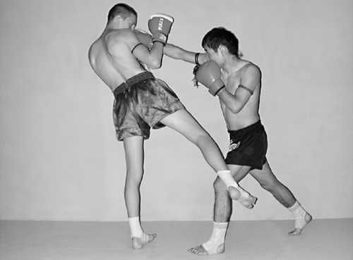 Бим Бэкман, Аман Атилов - Бойцовский клуб: боевой фитнес для мужчин