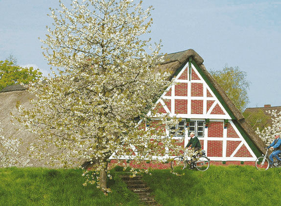 Эльке Фрей - Гамбург. Путеводитель