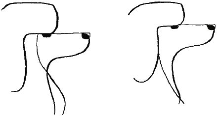 М. Колов, Е. Куприянова - Парикмахерская для собак и кошек