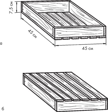 Сергей Кашин - Овощи, ягоды, фрукты. Умная рассада и бережное хранение