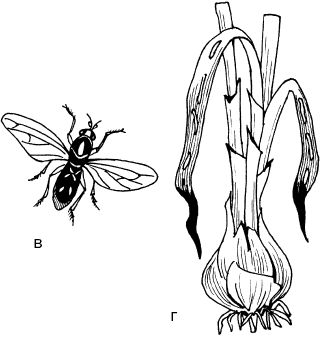 Светлана Ермакова - Календарь современного садовода. Защита сада и огорода от...