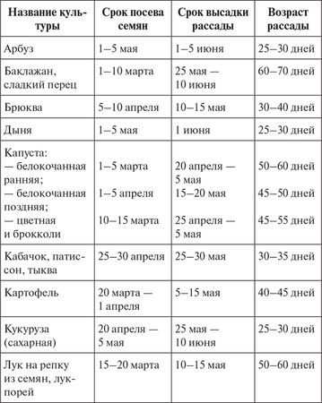 Сергей Кашин - Овощи, ягоды, фрукты. Умная рассада и бережное хранение