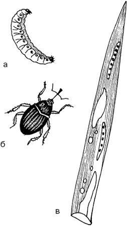 Светлана Ермакова - Календарь современного садовода. Защита сада и огорода от...