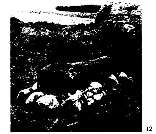 Хильда Дэвидсон - Древние скандинавы. Сыны северных богов