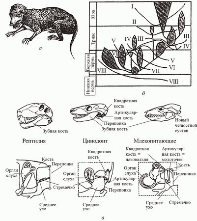Кирилл Еськов - Удивительная палеонтология. История земли и жизни на ней