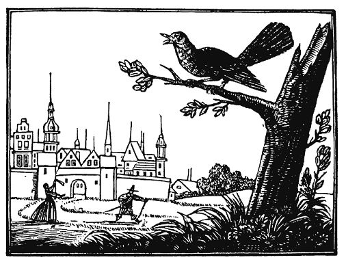 Кристиан Рейтер - Шельмуфский