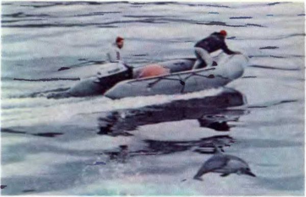 Жак-Ив Кусто, Филипп Кусто - Чтобы не было в море тайн