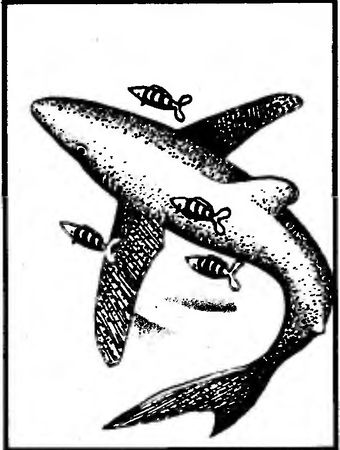 Жак-Ив Кусто, Филипп Кусто - Чтобы не было в море тайн