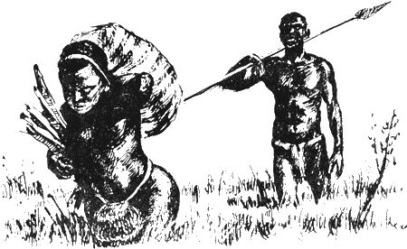 Владимир Корочанцев - Африка - земля парадоксов