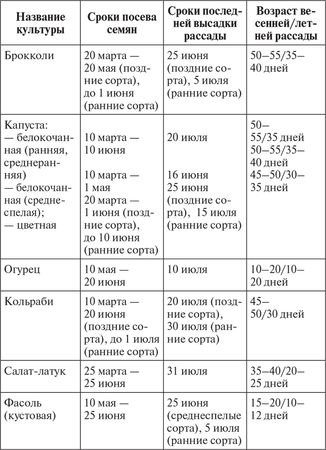 Сергей Кашин - Овощи, ягоды, фрукты. Умная рассада и бережное хранение