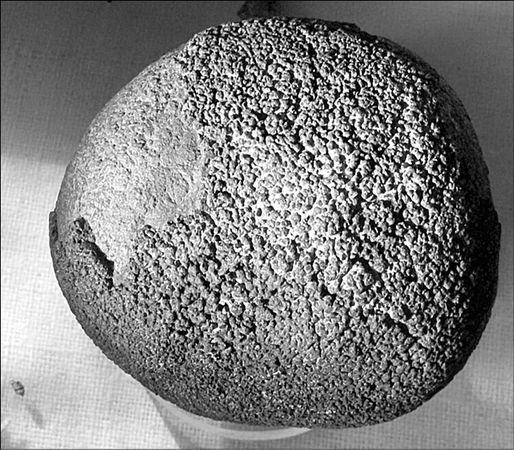 Анатолий Бернацкий - 100 великих тайн океана