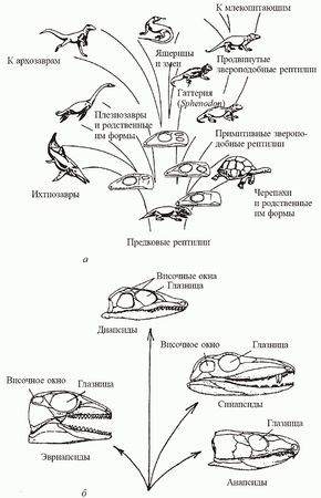 Кирилл Еськов - Удивительная палеонтология. История земли и жизни на ней