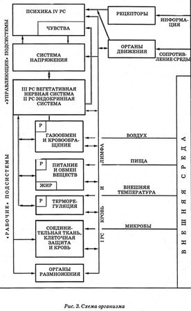 Николай Амосов - Энциклопедия Амосова. Алгоритм здоровья