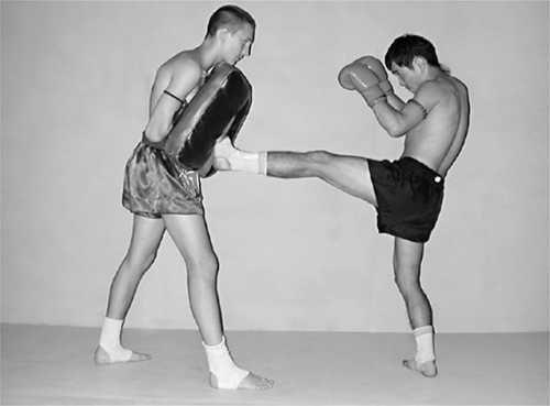 Бим Бэкман, Аман Атилов - Бойцовский клуб: боевой фитнес для мужчин