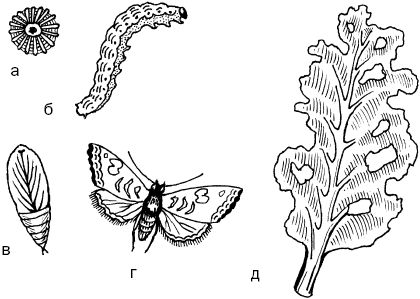 Светлана Ермакова - Календарь современного садовода. Защита сада и огорода от...