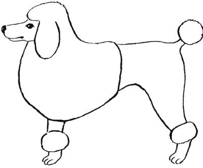 М. Колов, Е. Куприянова - Парикмахерская для собак и кошек